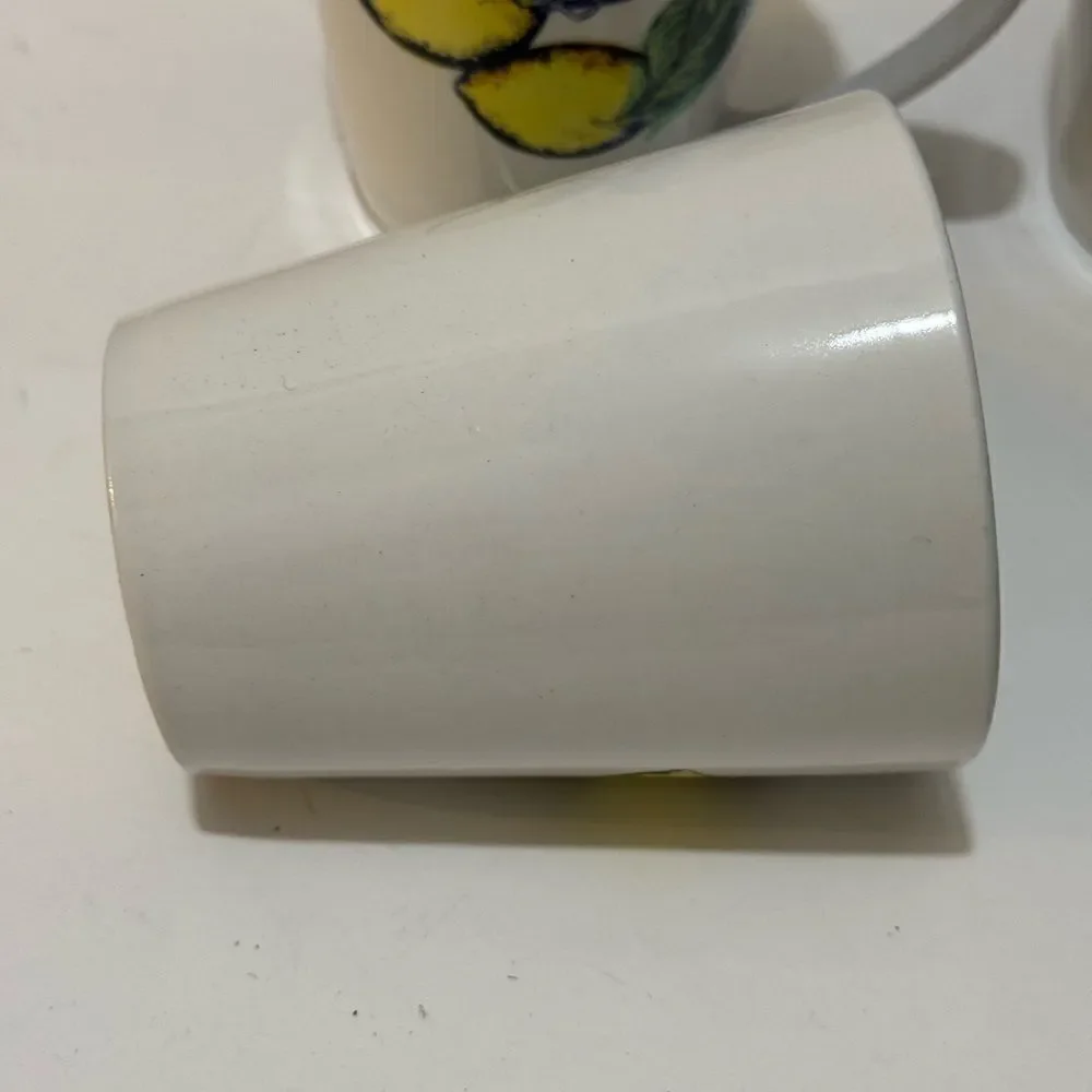 4 Sonoma Life & Style lemon  Coffee Mug